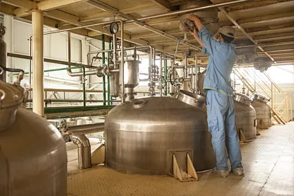 Papaya powder flavor